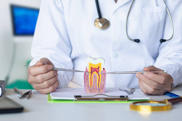 Best Emergency Orthodontic Repairs in Newburg, WI